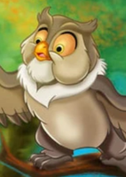 Friend Owl photo