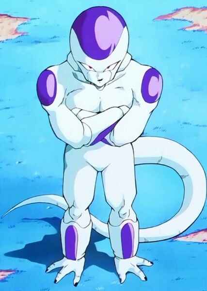 Frieza photo