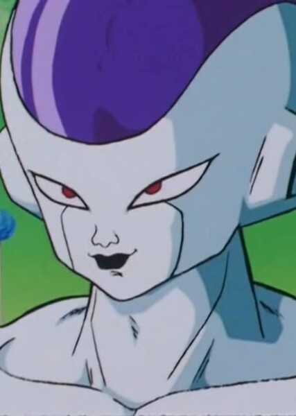 Frieza photo