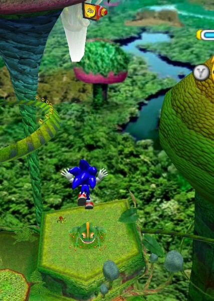 Frog Forest