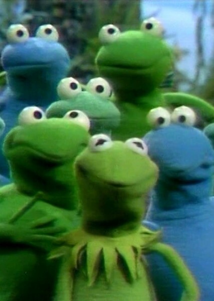 Frogs (Muppets) photo
