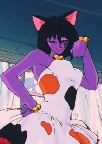 Velvette the Cat