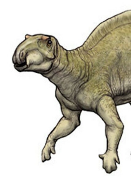 Fukuisaurus
