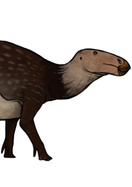 Fukuisaurus