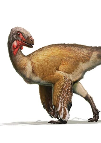 Fukuivenator