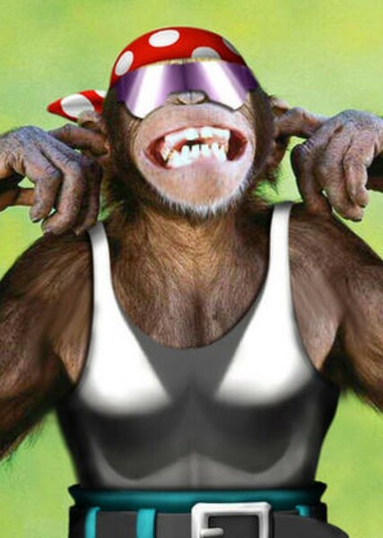 Funky Kong photo
