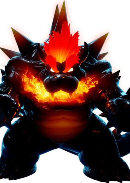 Fury Bowser photo