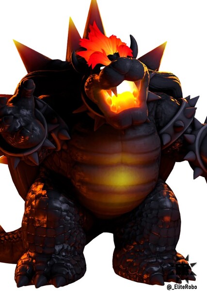 Fury Bowser photo
