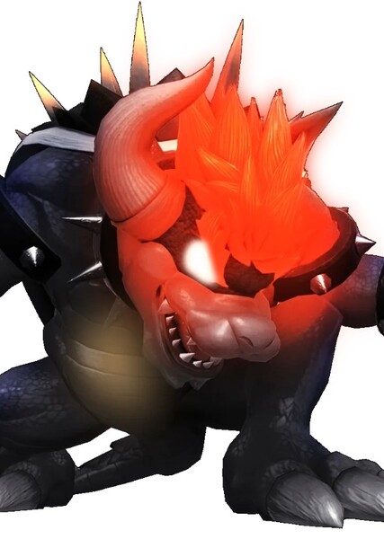 Fury Bowser photo