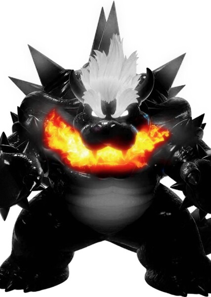 Fury Bowser photo