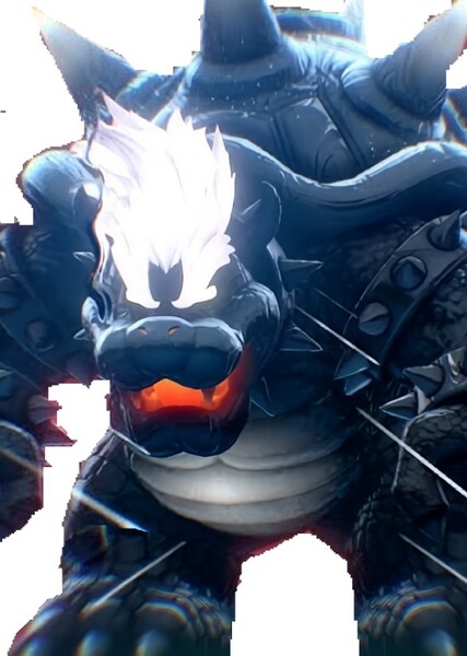 Fury Bowser photo