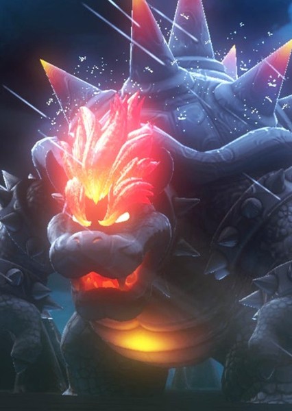Fury Bowser photo