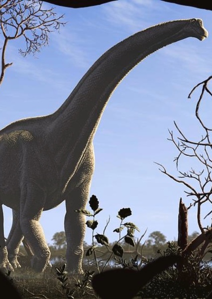 Futalognkosaurus photo