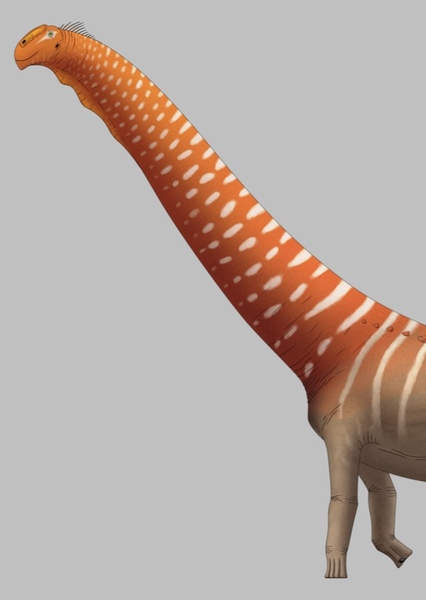 Futalognkosaurus photo