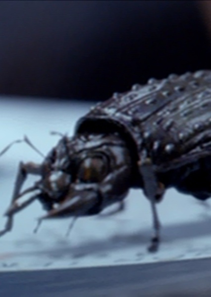 Future Beetles photo