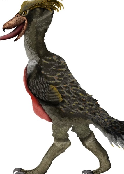 Future Bird photo