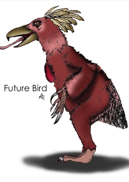 Future Bird photo