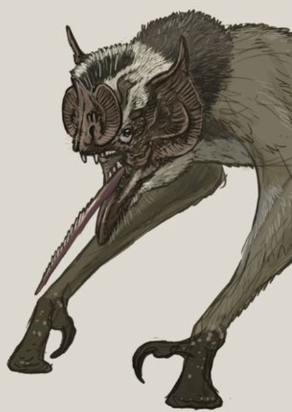 Future Predator photo