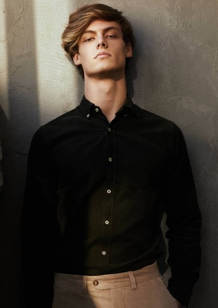 Gabriel Sandu photo