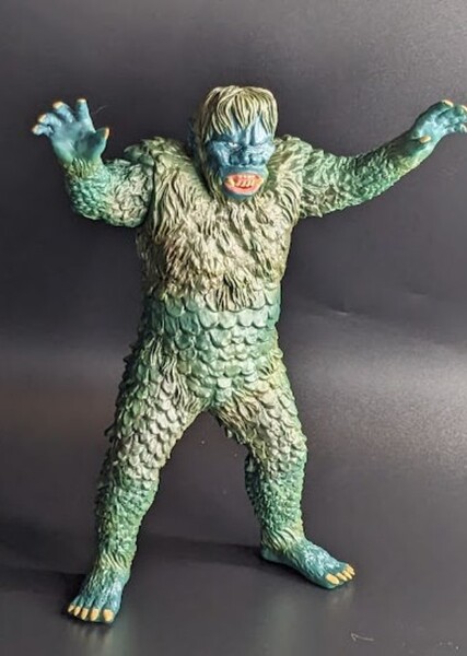 Gaira photo