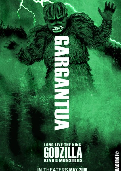 Gaira photo