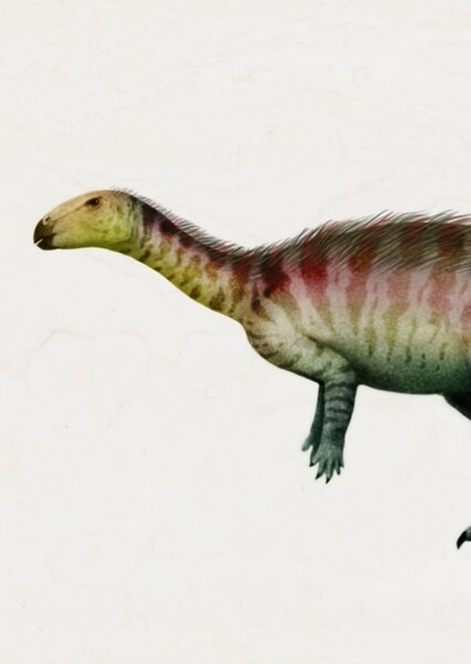 Galleonosaurus