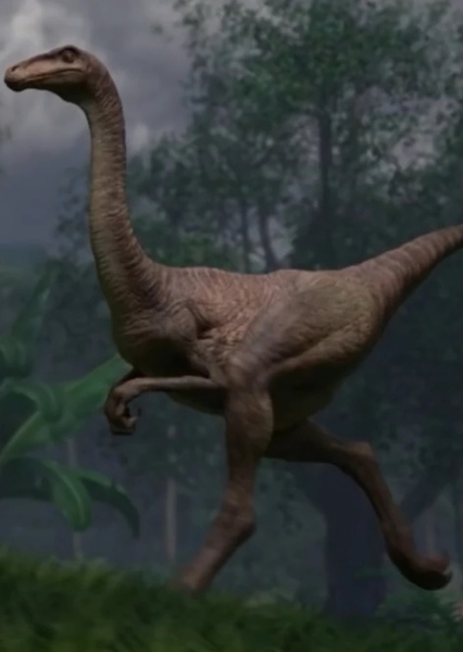Gallimimus photo