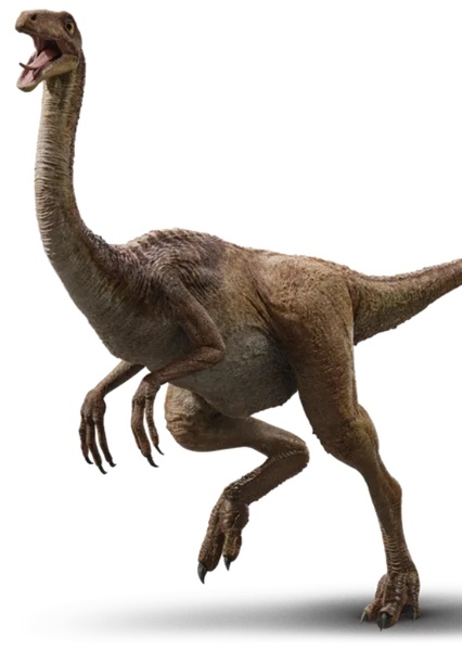 Gallimimus photo