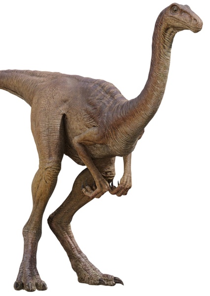 Gallimimus photo