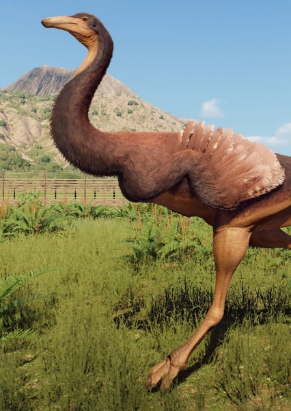 Gallimimus photo