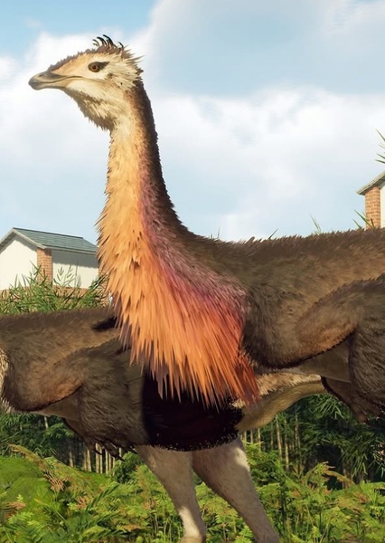 Gallimimus photo