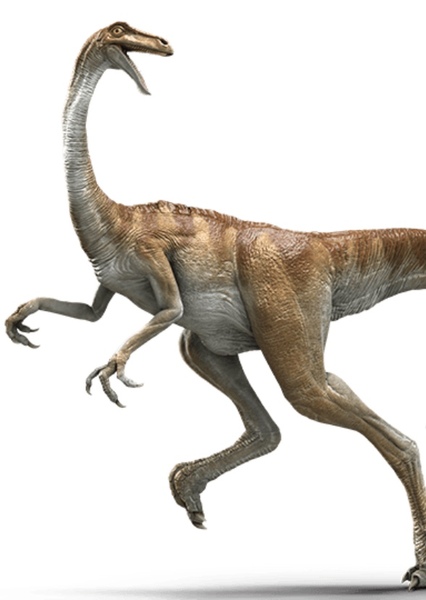 Gallimimus photo