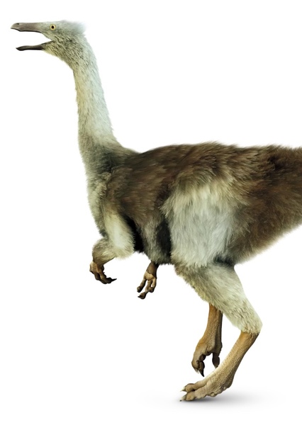 Gallimimus photo