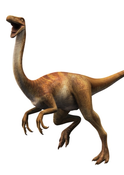 Gallimimus photo