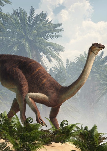 Gallimimus photo