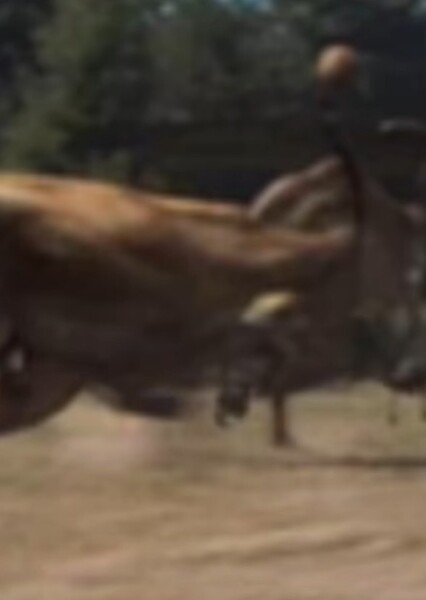 Gallimimus (The Lost World: Jurassic Park)