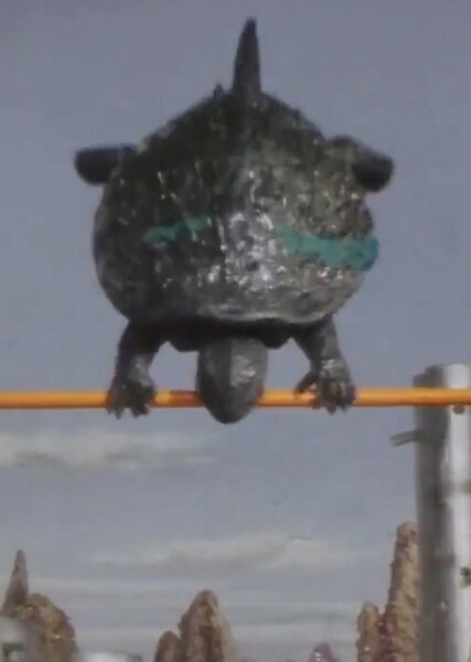 Gamera photo