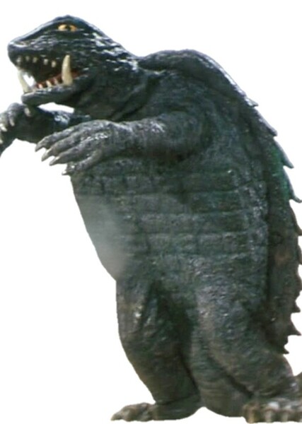 Gamera photo
