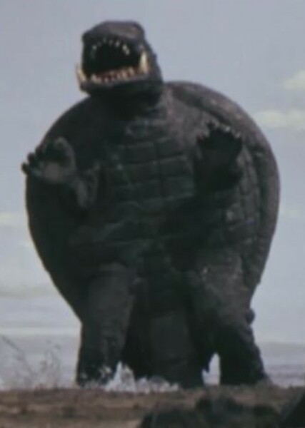 Gamera photo