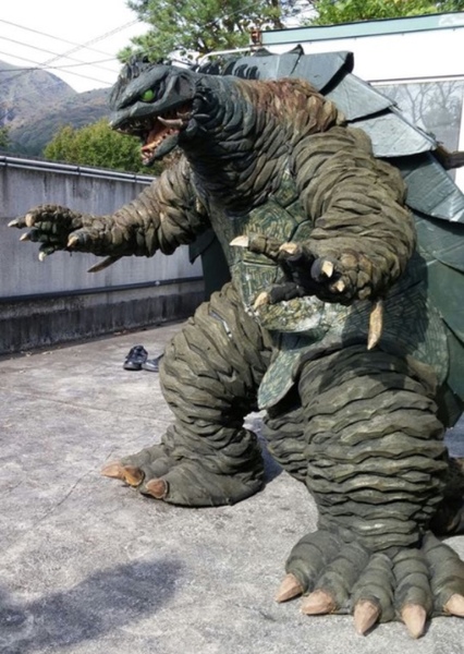 Gamera photo