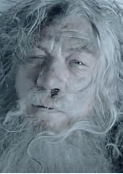 Gandalf the Grey