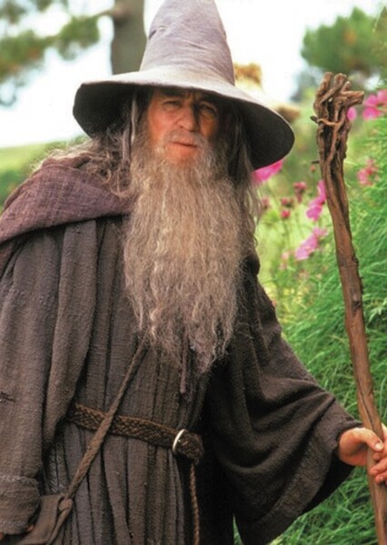 Gandalf the Grey