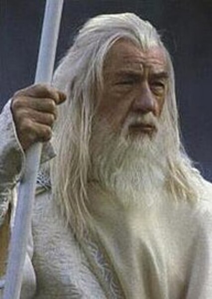 Gandalf the Grey photo