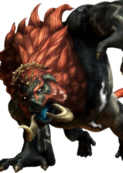 Ganon photo