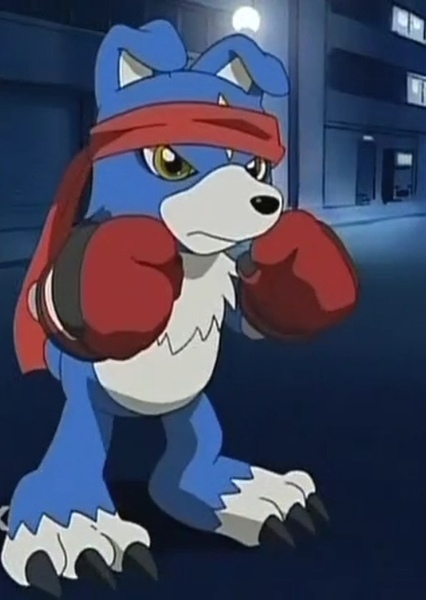 Gaomon photo