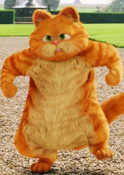 Garfield (Character) photo