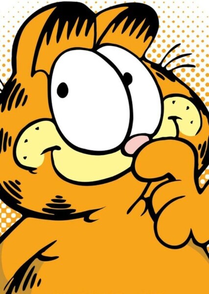 Garfield (Character) photo