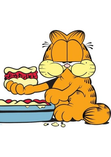 Garfield (Character) photo