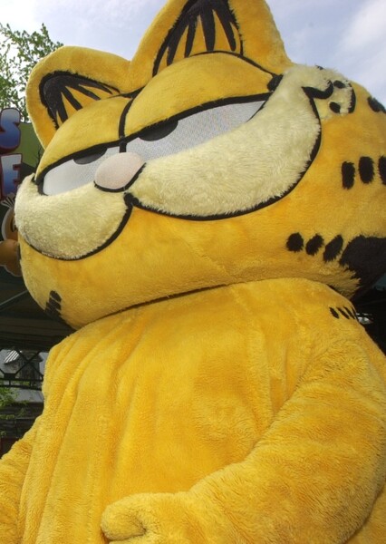 Garfield (Character) photo