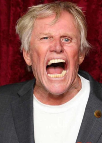 Gary Busey photo